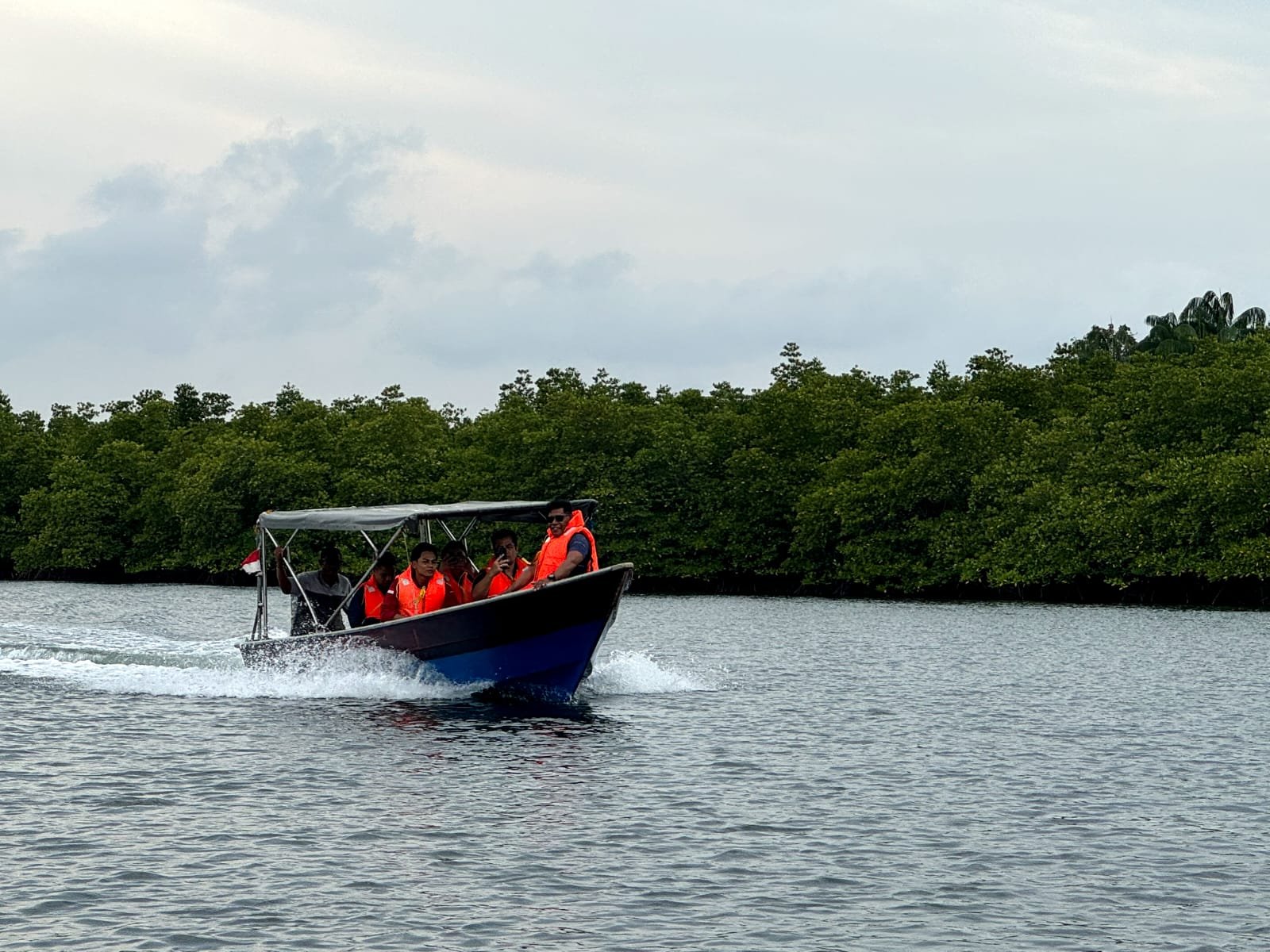 Best Experience Mangrove and Fireflies Tour in Batam