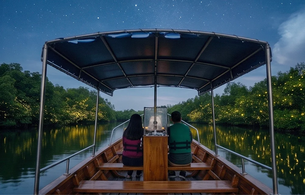 Best Experience Mangrove and Fireflies Tour in Batam