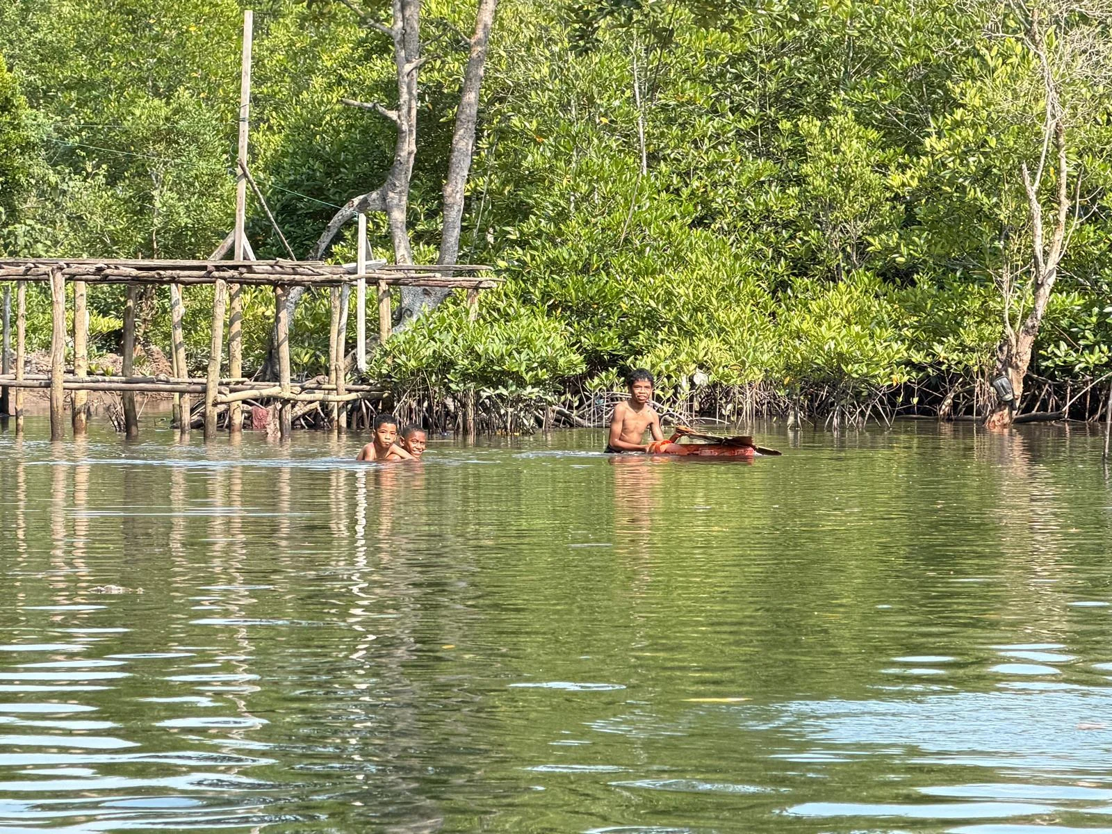 Best Experience Mangrove and Fireflies Tour in Batam