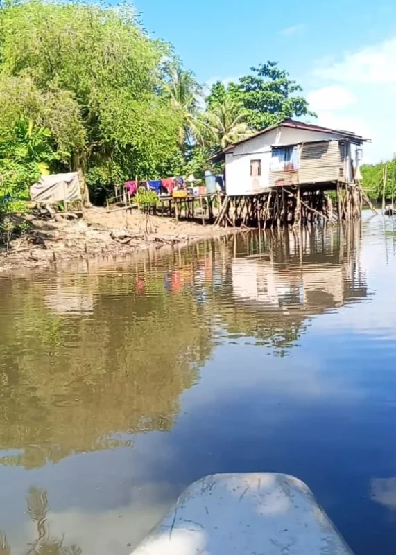 Best Experience Mangrove and Fireflies Tour in Batam